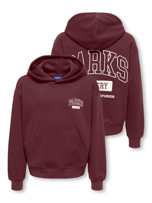 Only &amp; Sons Junior Relaxed Hoodie Turner Parks Gallery - Port Royale