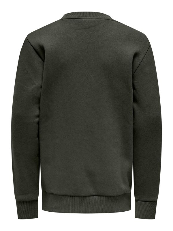 Only &amp; Sons Junior Crew Neck Sweatshirt Ceres - Rosin