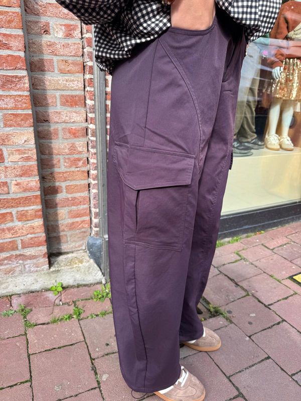 Ambika Broek Alyna - plum