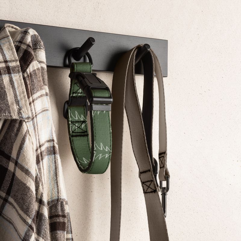 Evergreen- Pet collar