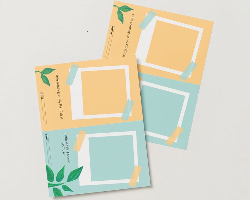 Little Seedlings-First Day and Last Day