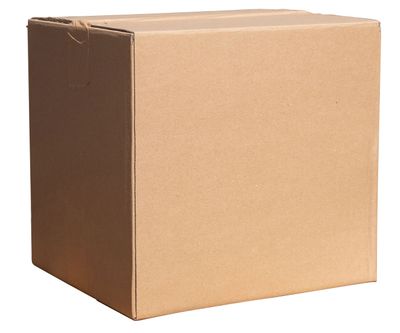 Brennholz im Karton - Buche 25cm (ca. 10kg)