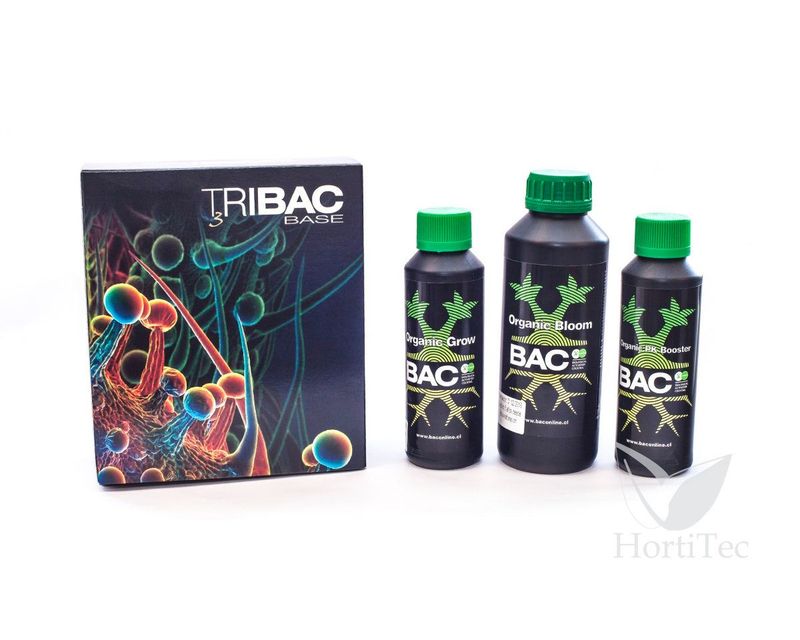 Tribac bac