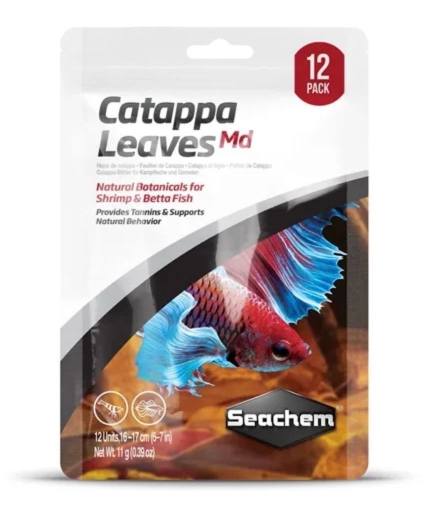 SCH Catappa Leaves Md 6.7"