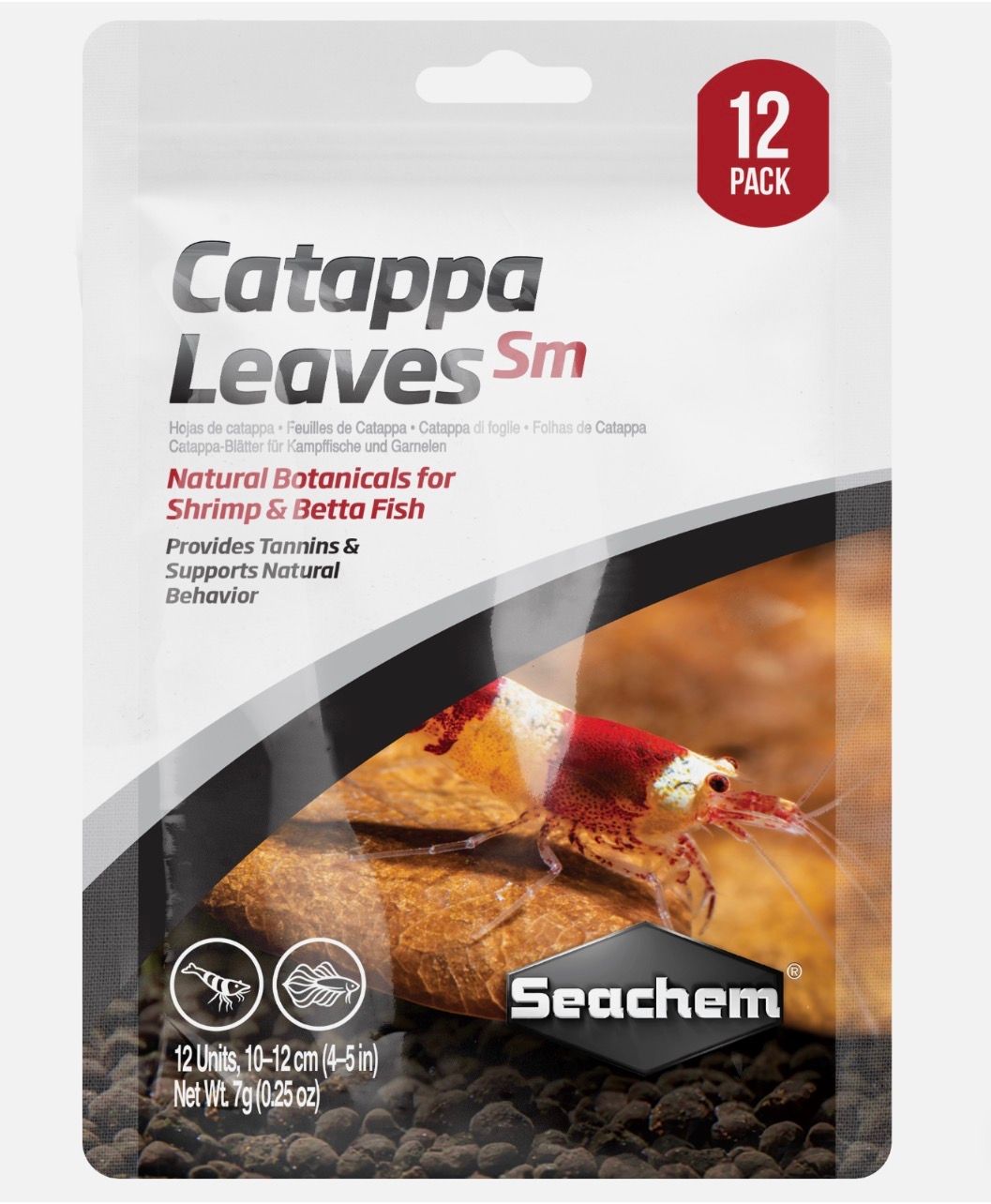 Sch Catappa Leaves Sm 4-5"