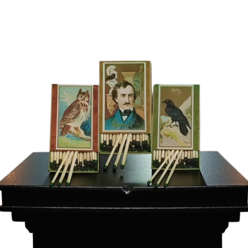Goth Edgar Allen Poe Matches