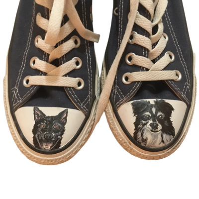 Pets on a Small Surface Pets on a Small Surface