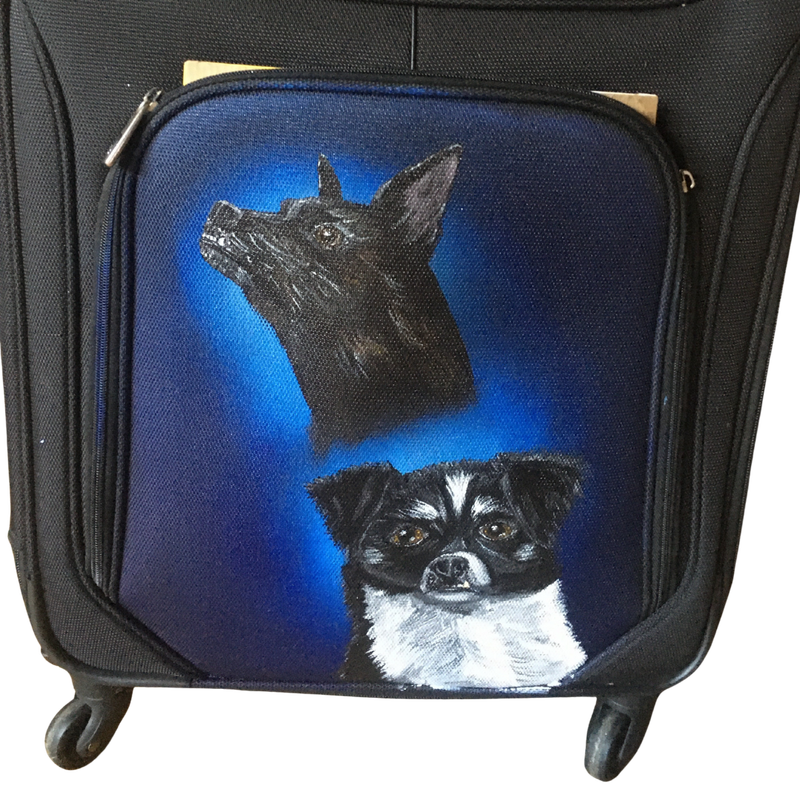 Pets on a Large Surface Pets on a Large Surface