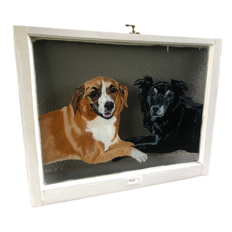 More Pets in a Window