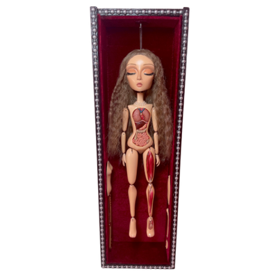 “Anatomical Venus” Art Doll