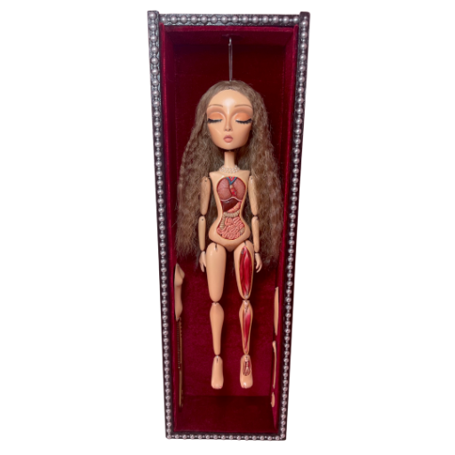 “Anatomical Venus” Art Doll