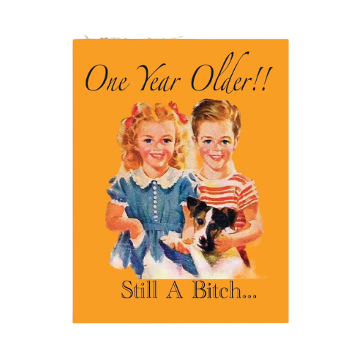 ONE YEAR OLDER…STILL A BITCH CARD