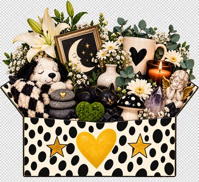 THE COMFORT AND CONDOLENCES BOX THE COMFORT AND CONDOLENCES BOX