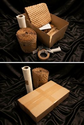 Discretion and Ecology