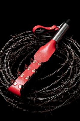 Grandma’s Smile Leather Whip - Innocent Fang