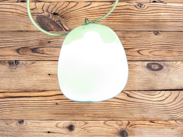 Smooth Plate Pendant