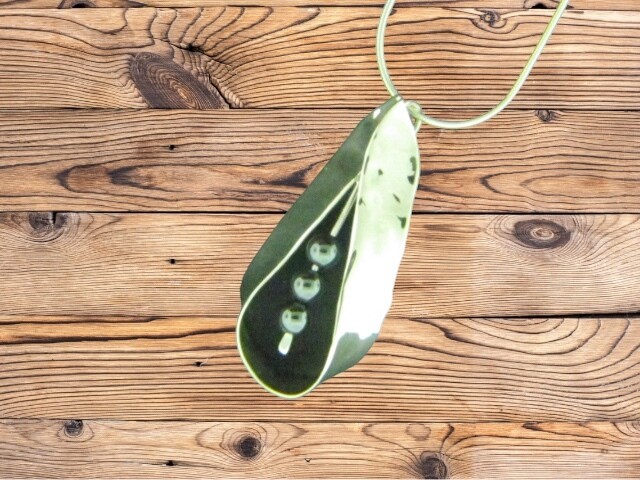 Collar Loop w/Bead Pendant