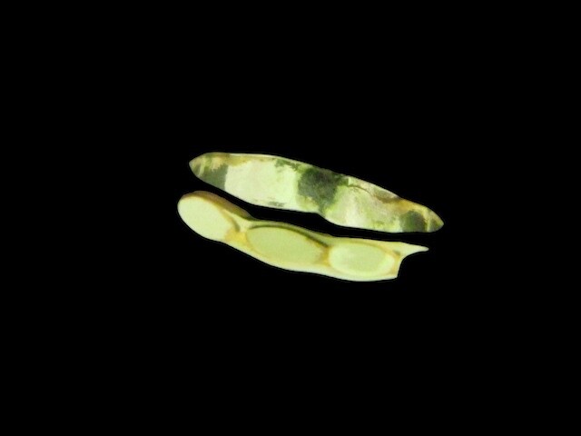 Heavy Hammered Ring