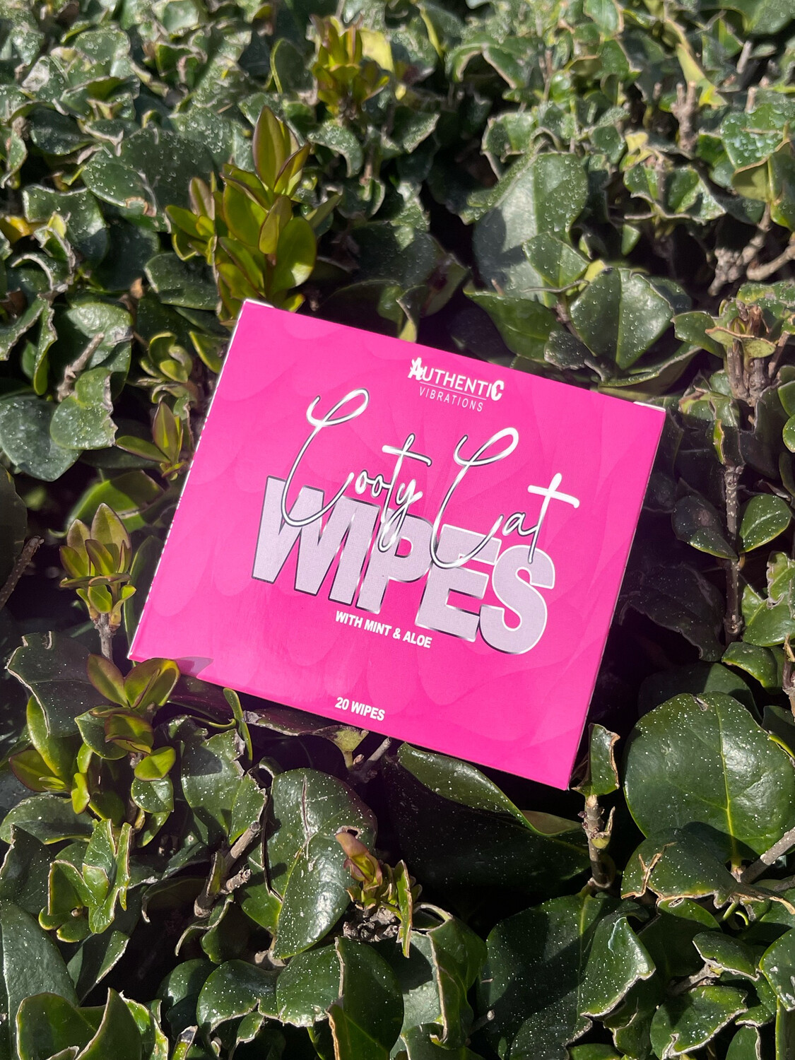 Cooty Cat Wipes