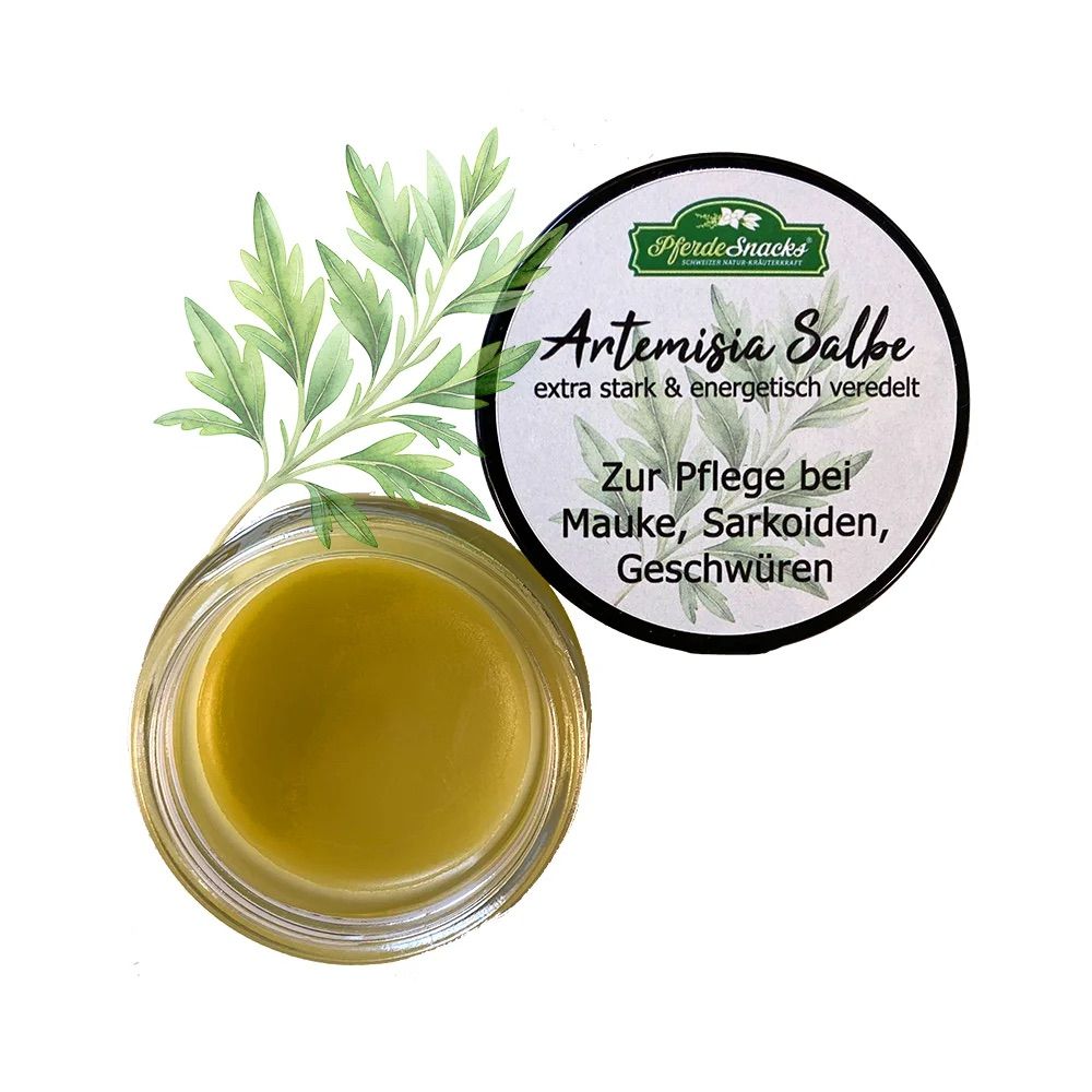 Artemisia Salbe 50ml
