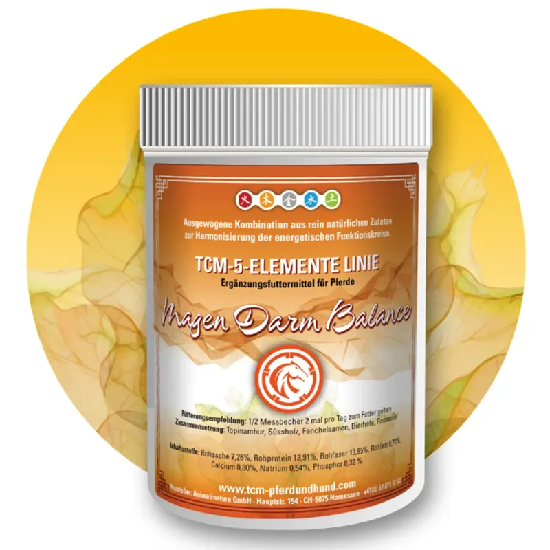 TCM Magen-Darm Balance