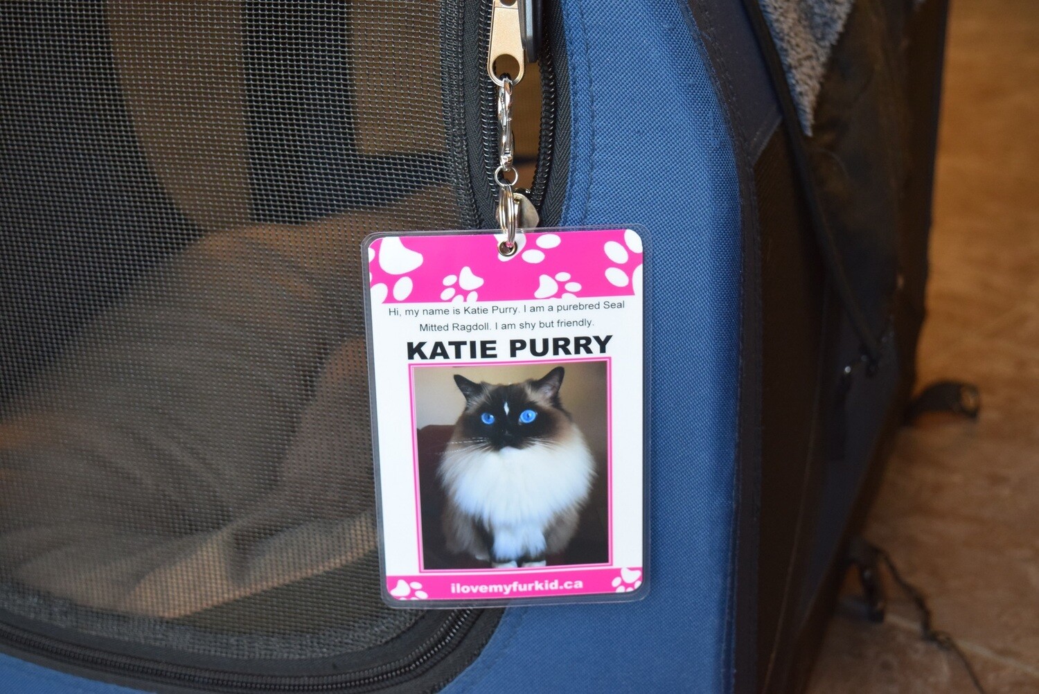 Kennel / Crate Tag