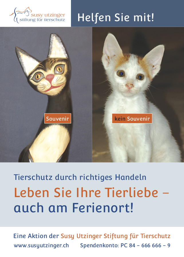 Poster &quot;Souvenir - kein Souvenir&quot;