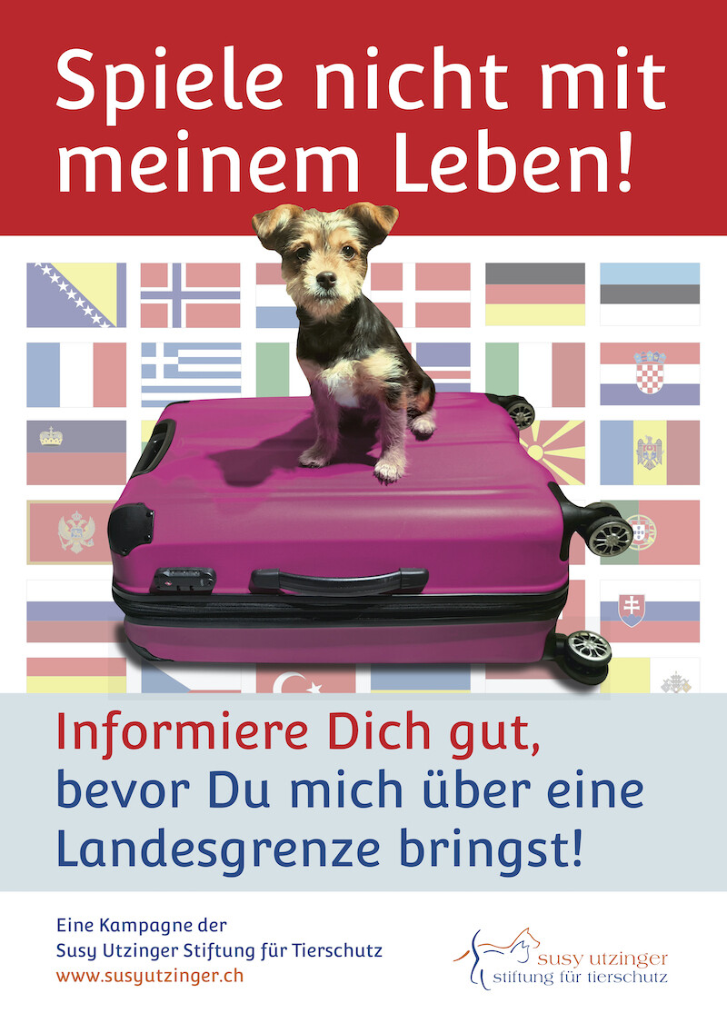 Plakat &quot;Spiele nicht mit meinem Leben&quot;