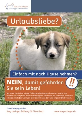 Plakat &quot;Urlaubsliebe - einfach mit nach Hause nehmen?&quot; (Format A4 und A3)