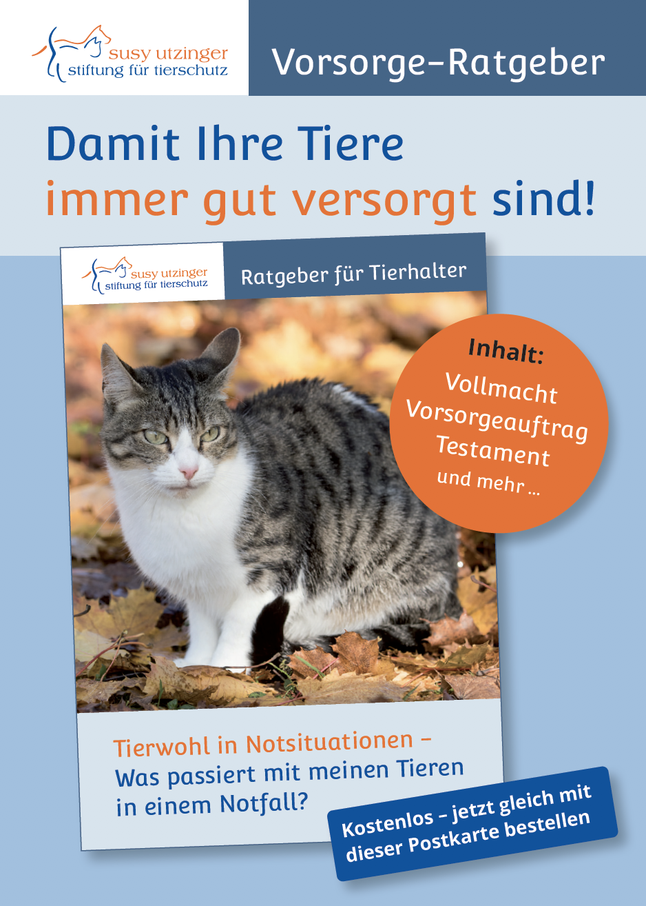 Bestellkarte zum kostenlosen Bezug von Vorsorge-Ratgeber