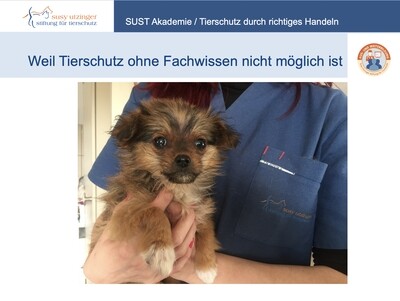 SUST-Akademie: Webinare