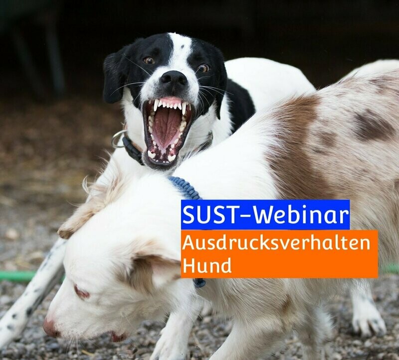 SUST-Webinar &quot;Ausdrucksverhalten Hund&quot;