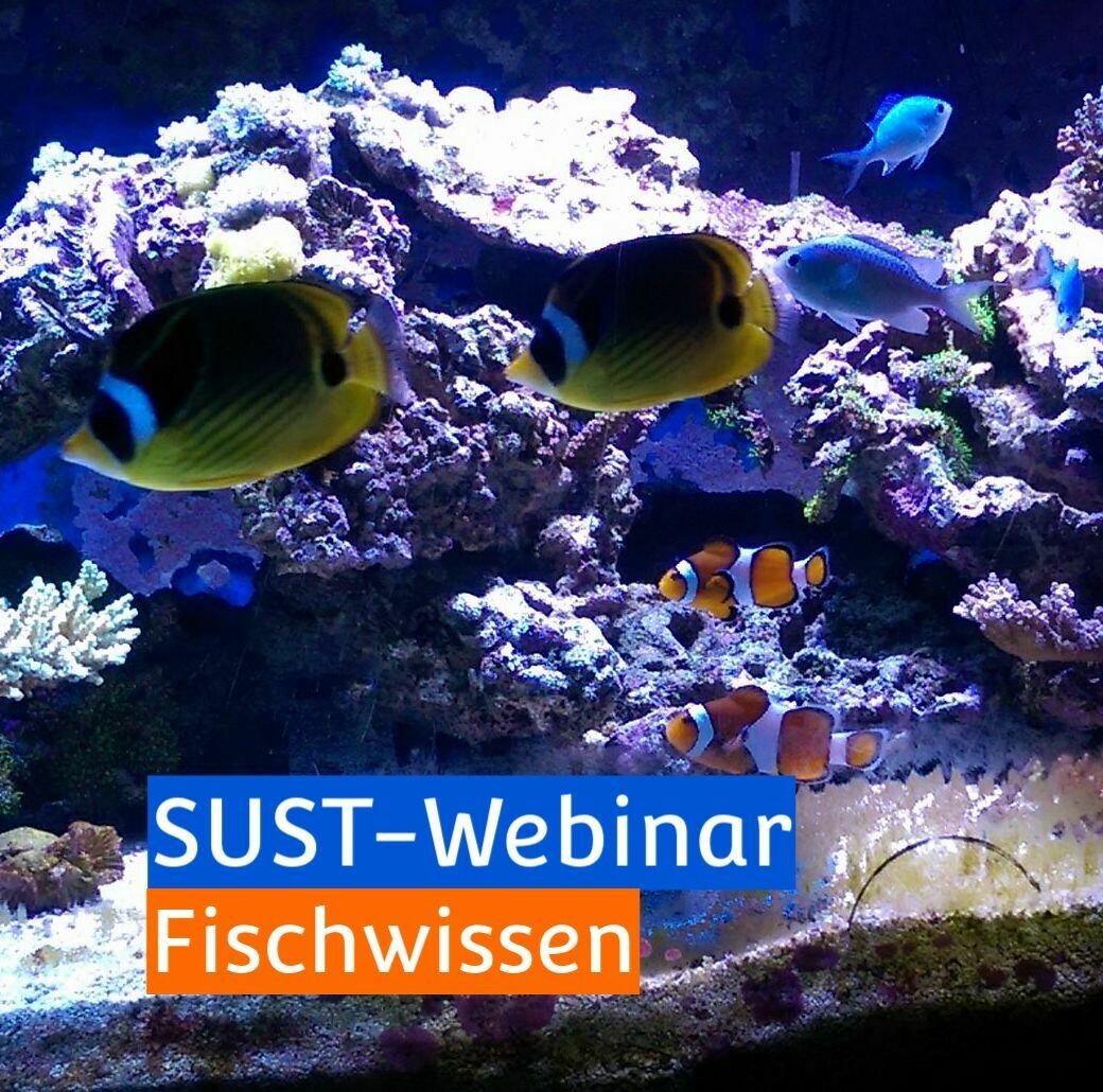 SUST-Webinar &quot;Fischwissen&quot;