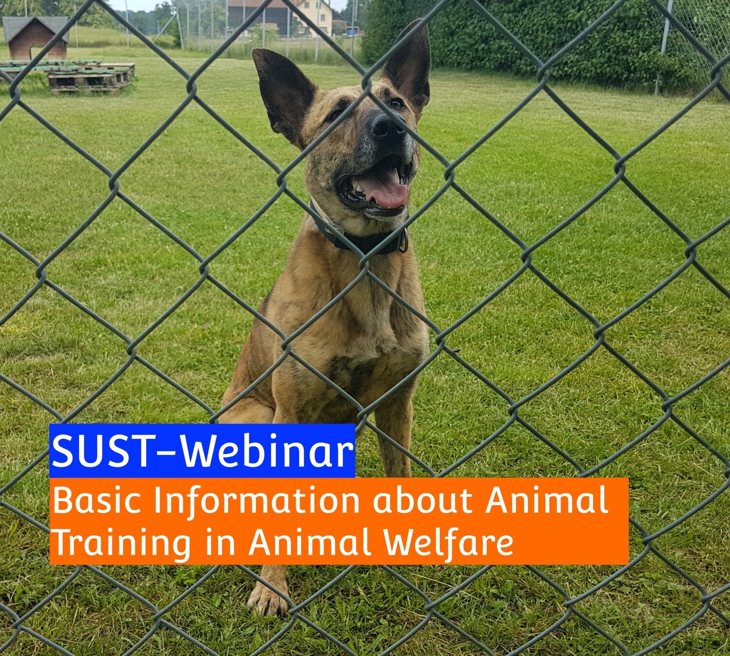SUST-Webinar Basic Information about Animal Training in Animal Welfare