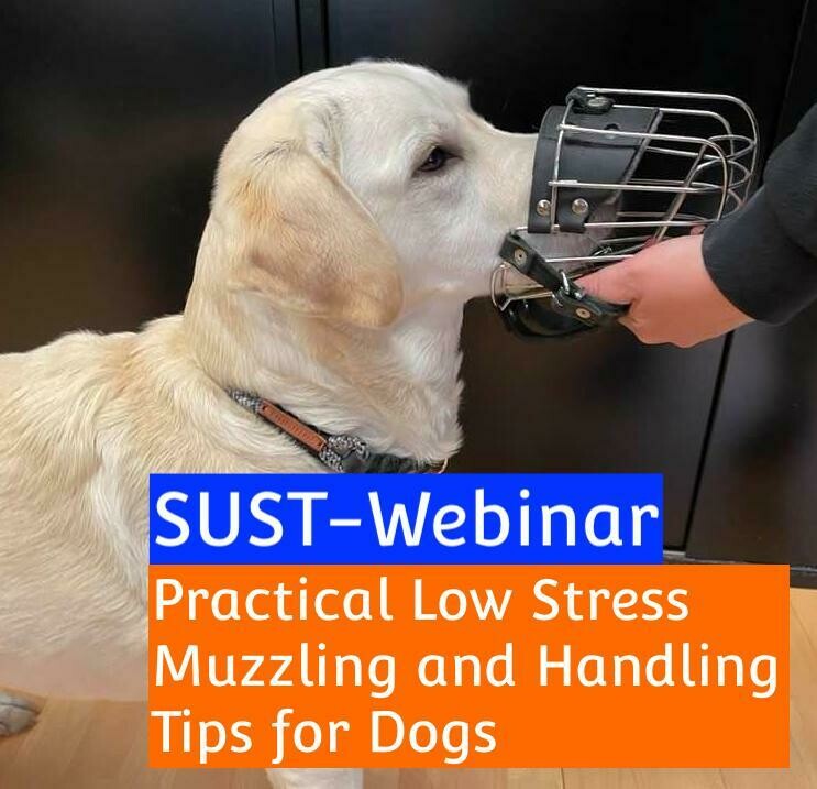 SUST-Webinar &quot;Practical Low Stress Muzzling and Handling Tips for Dogs&quot;