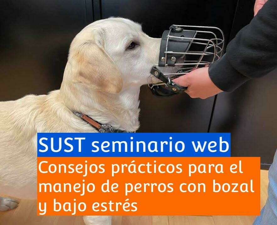 SUST seminario web &quot;Consejos prácticos para el manejo de perros con bozal y bajo estrés​&quot;