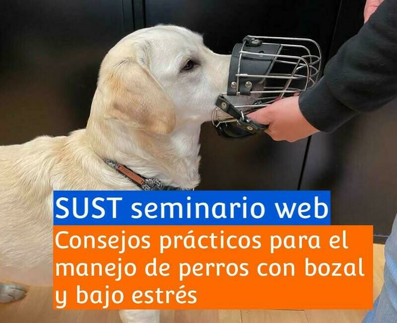 SUST seminario web &quot;Consejos prácticos para el manejo de perros con bozal y bajo estrés​&quot;