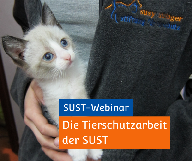 SUST-Webinar &quot;Die Tierschutzarbeit der SUST&quot;