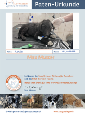 Patenschaften