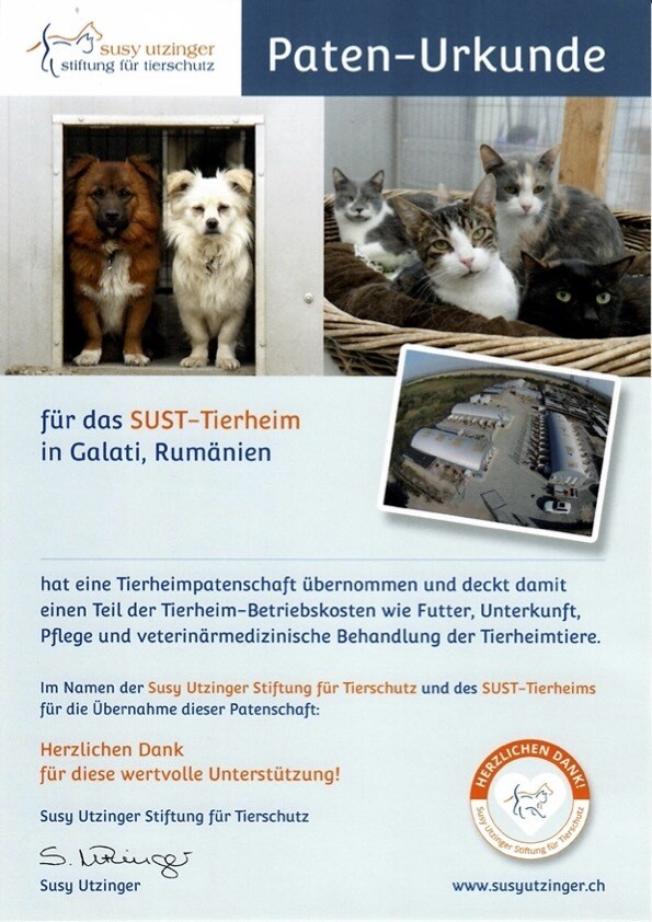 Tierheimpatenschaft SUST-Tierheim Galati, Rumänien