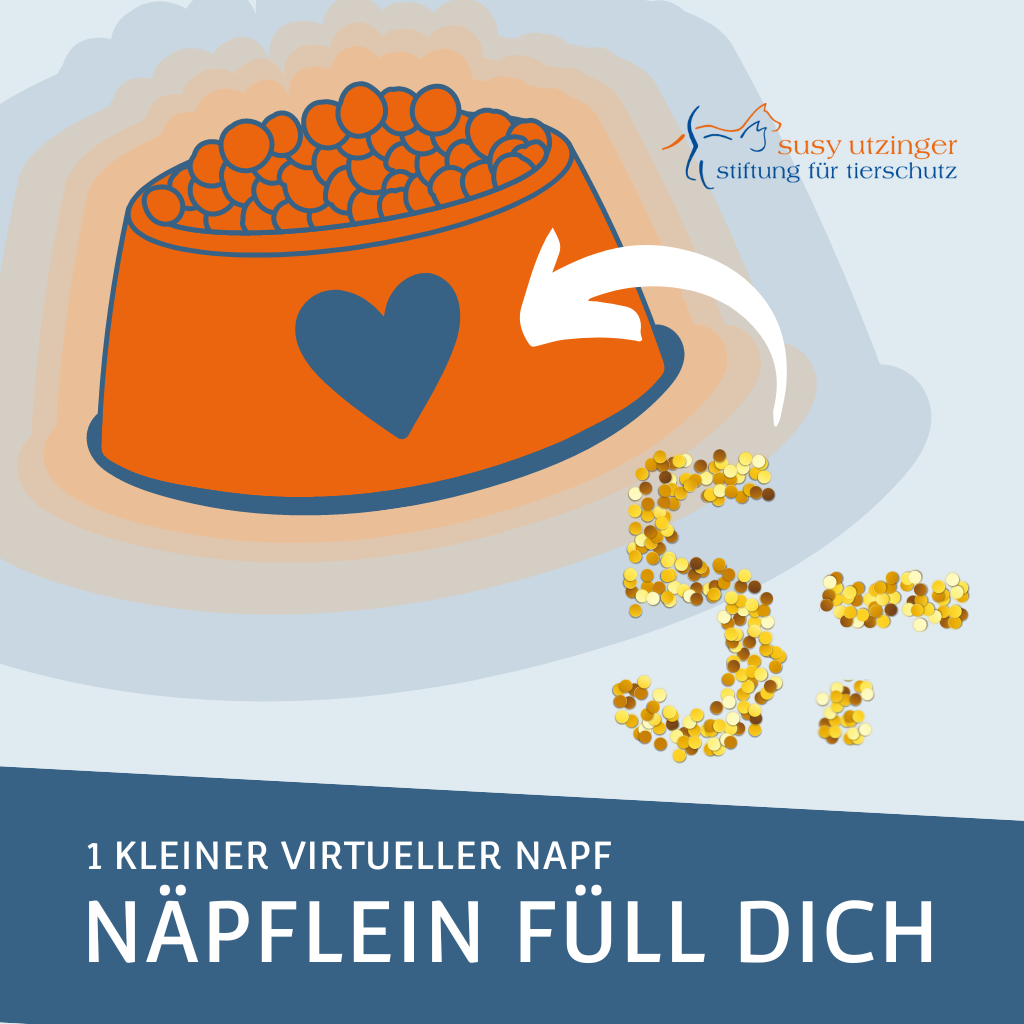 Kleiner virtueller Futternapf
