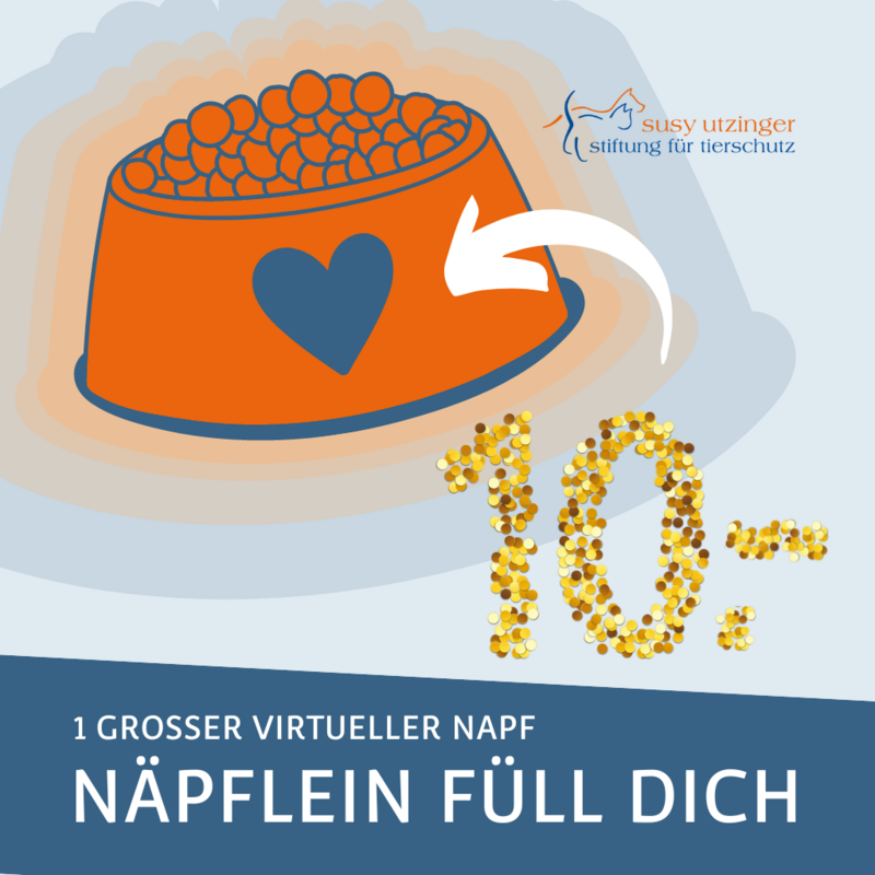Grosser virtueller Futternapf
