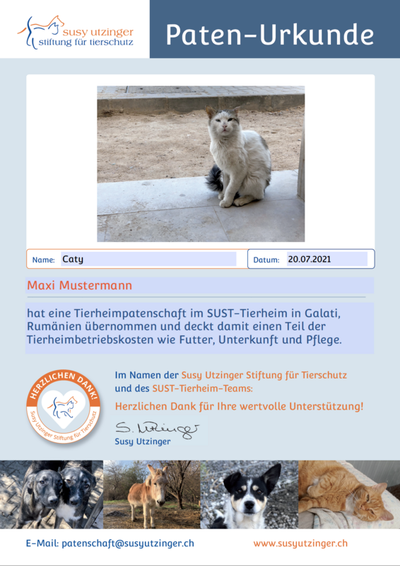 Patenschaft für 1 Jahr für eine Katze im SUST-Tierheim Galati, Rumänien