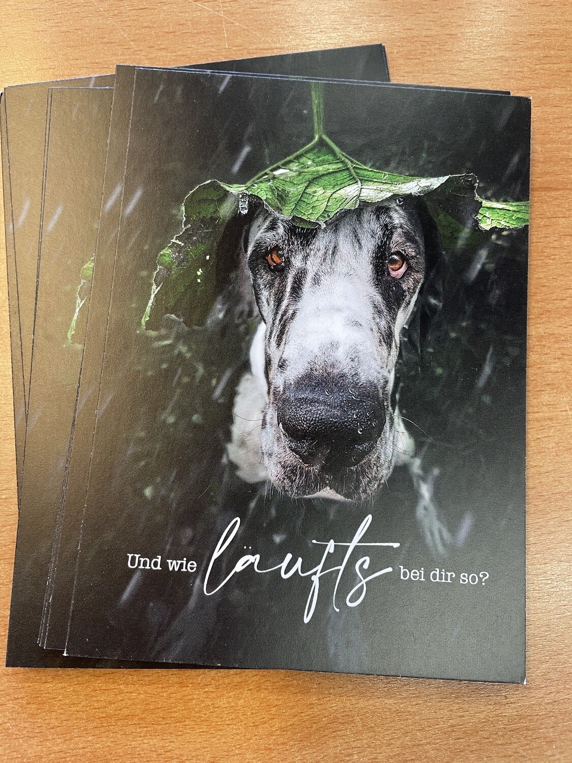 Fotokarte mit Spruch &quot;Und wie läufts bei dir so?&quot;