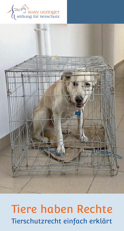Broschüre &quot;Tiere haben Rechte&quot;