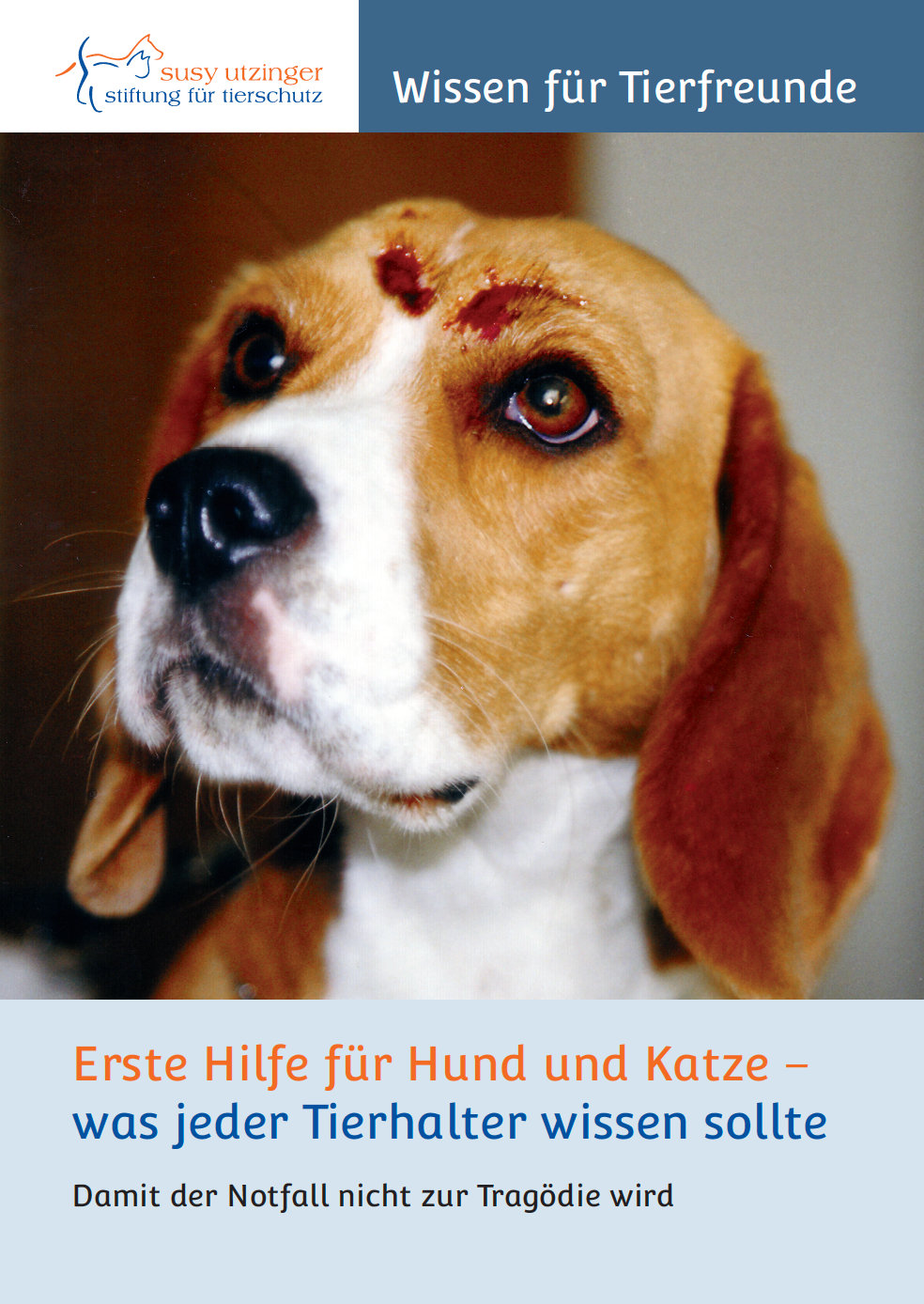 Broschüre &quot;Erste Hilfe für Hund und Katze&quot;
