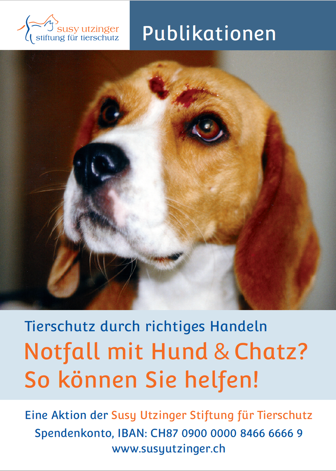 Bestellpostkarte - Broschüre &quot;Erste Hilfe für Hund und Katze&quot;