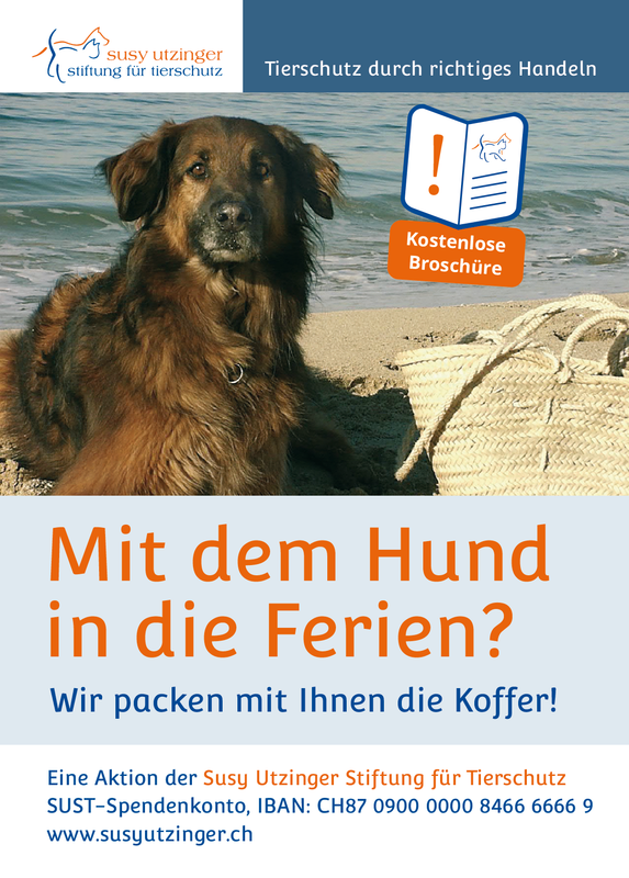 Bestellpostkarte - Broschüre &quot;Ferien mit dem Hund&quot;