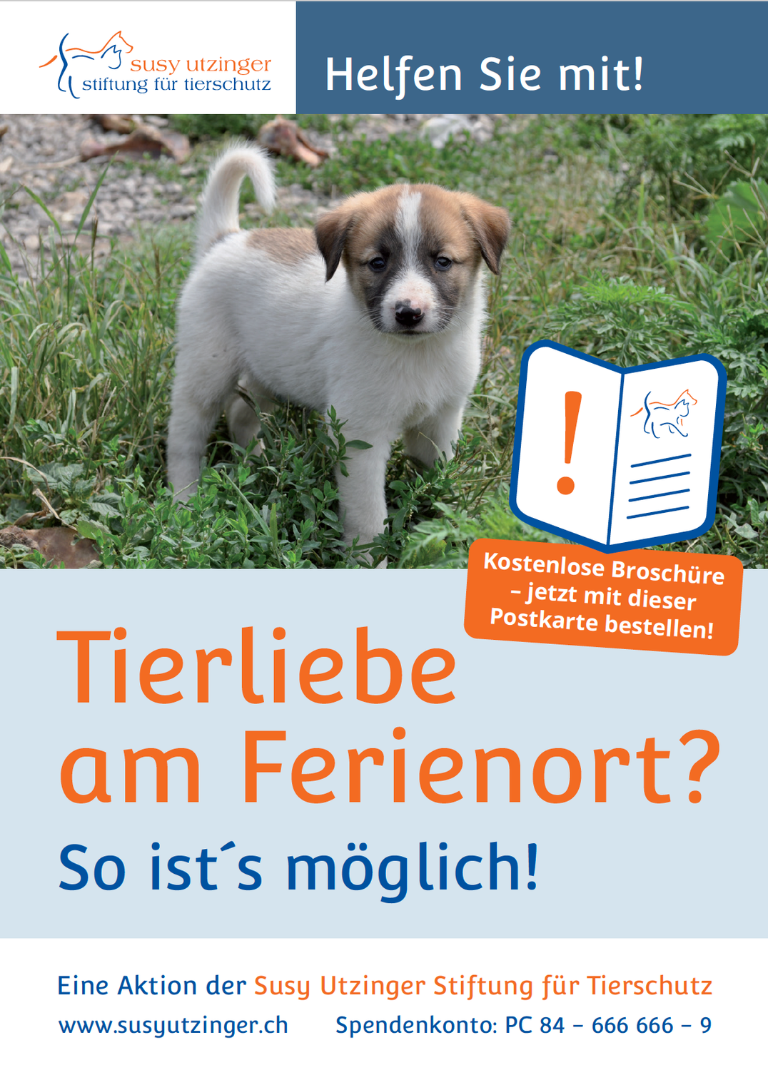 Bestellpostkarte - Plakate &quot;Tiere sind keine Souvenirs&quot; und Broschüren &quot;Tierliebe am Ferienort&quot;