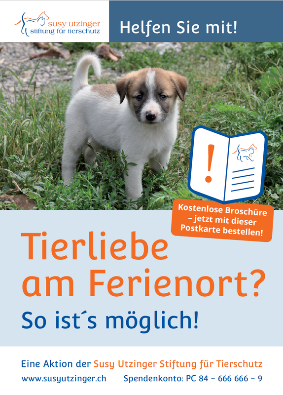 Bestellpostkarte - Plakate &quot;Tiere sind keine Souvenirs&quot; und Broschüren &quot;Tierliebe am Ferienort&quot;